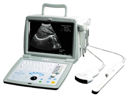 TFT,LCD/LCM,Touch Screen,OLED,EMS,JASONIC
